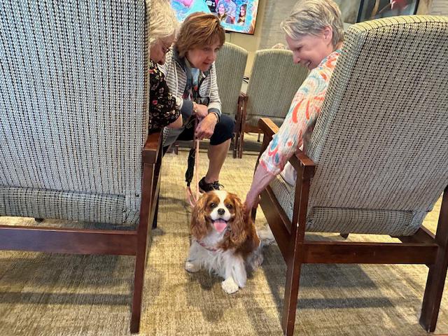 Pet Visits in Legacy Place Senior Assisted Living Home