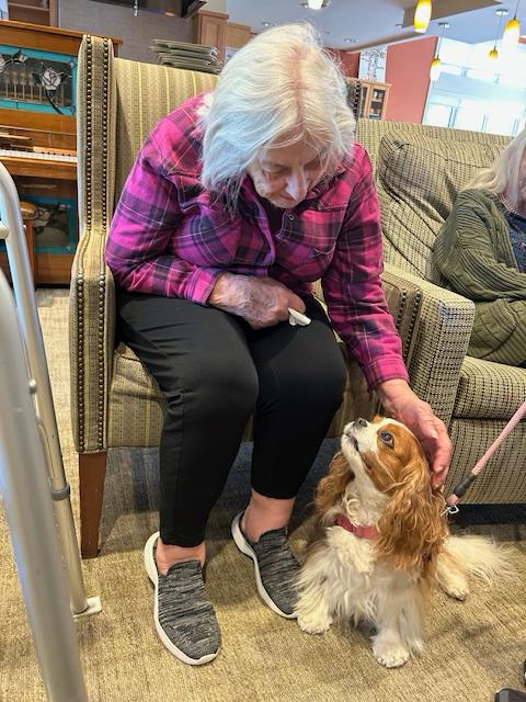 Pet Visits in Legacy Place Senior Assisted Living Home