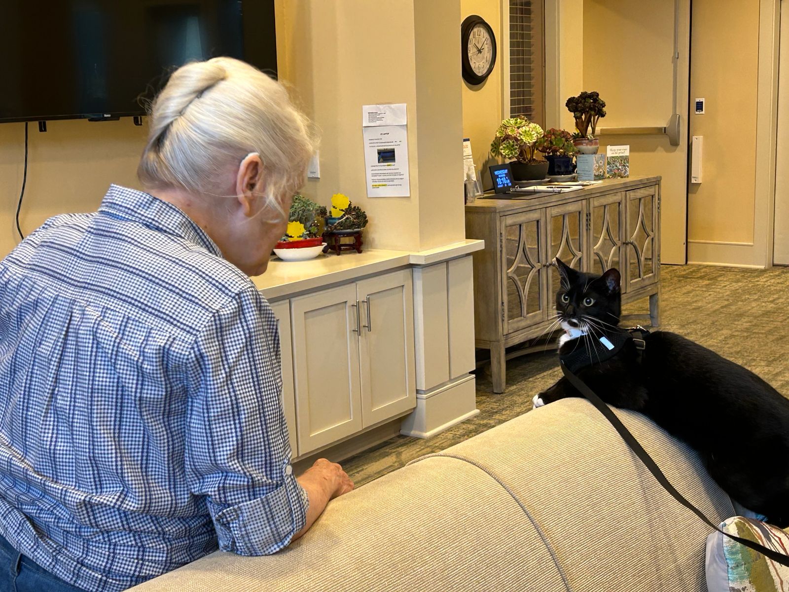 Pet therapy in Legacy Place Senior Assisted Living