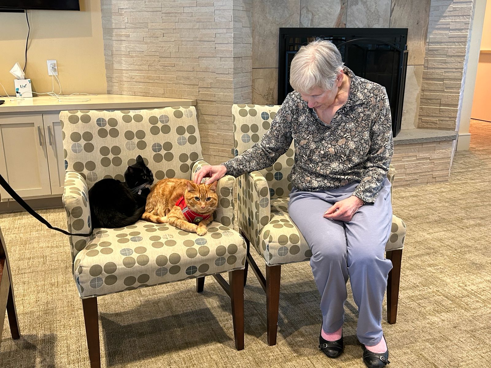 Pet therapy in Legacy Place Senior Assisted Living