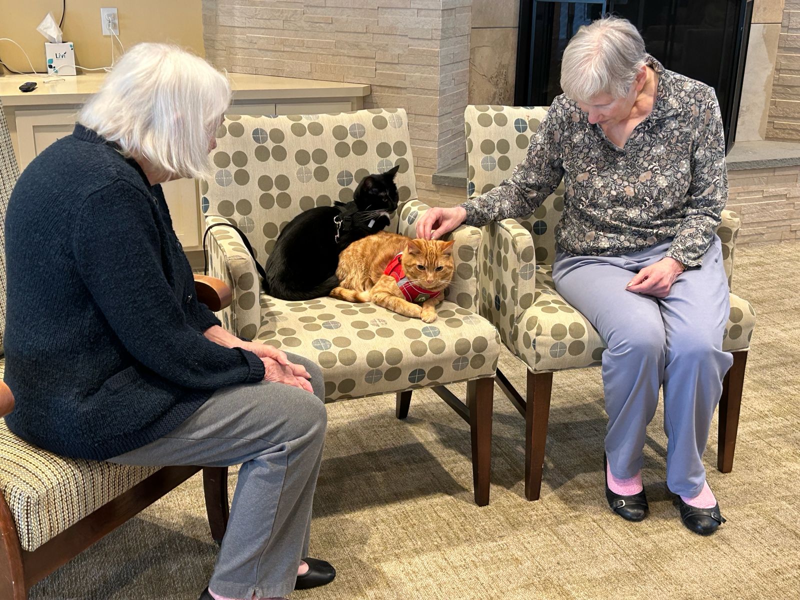 Pet therapy in Legacy Place Senior Assisted Living