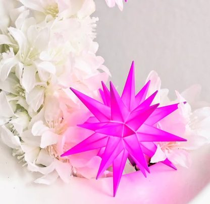 Herrnhuter 2025 Star of the year:  Mini purple